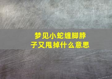 梦见小蛇缠脚脖子又甩掉什么意思