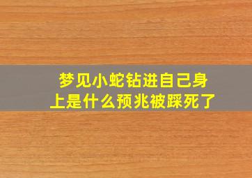 梦见小蛇钻进自己身上是什么预兆被踩死了