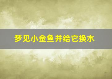 梦见小金鱼并给它换水