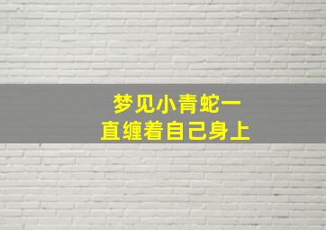 梦见小青蛇一直缠着自己身上