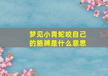 梦见小青蛇咬自己的胳膊是什么意思