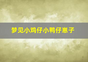 梦见小鸡仔小鸭仔崽子