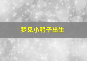 梦见小鸭子出生