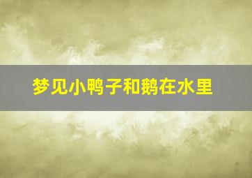 梦见小鸭子和鹅在水里