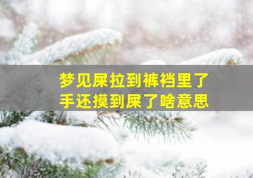 梦见屎拉到裤裆里了手还摸到屎了啥意思