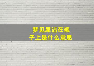 梦见屎沾在裤子上是什么意思