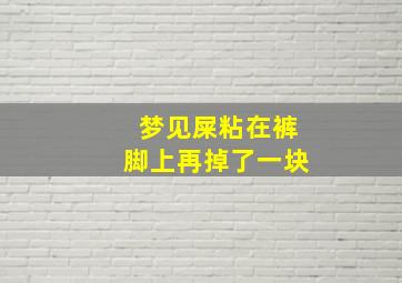 梦见屎粘在裤脚上再掉了一块