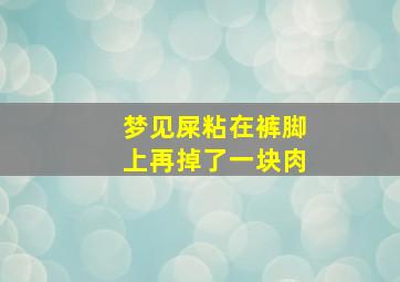 梦见屎粘在裤脚上再掉了一块肉