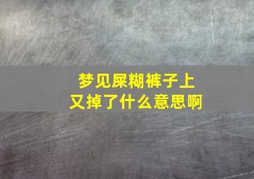 梦见屎糊裤子上又掉了什么意思啊