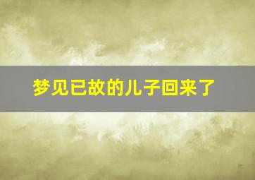 梦见已故的儿子回来了