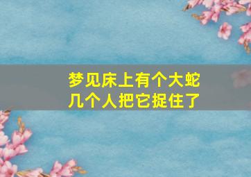 梦见床上有个大蛇几个人把它捉住了