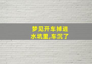 梦见开车掉进水坑里,车沉了