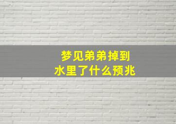 梦见弟弟掉到水里了什么预兆