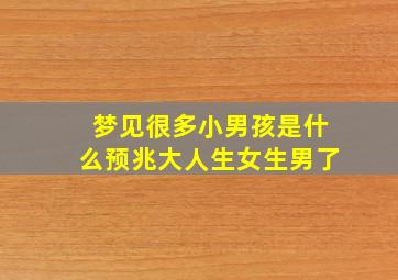 梦见很多小男孩是什么预兆大人生女生男了