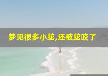 梦见很多小蛇,还被蛇咬了