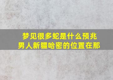 梦见很多蛇是什么预兆男人新疆哈密的位置在那