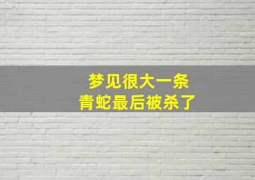 梦见很大一条青蛇最后被杀了