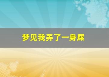 梦见我弄了一身屎