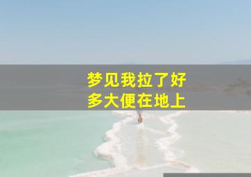 梦见我拉了好多大便在地上