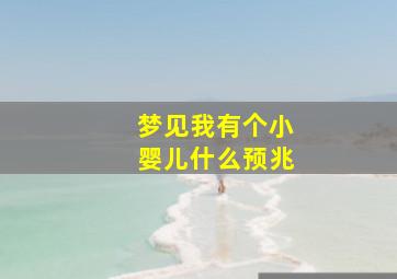 梦见我有个小婴儿什么预兆