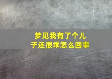 梦见我有了个儿子还很乖怎么回事