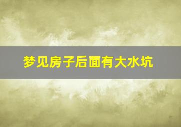 梦见房子后面有大水坑