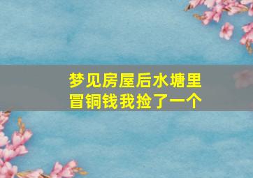 梦见房屋后水塘里冒铜钱我捡了一个