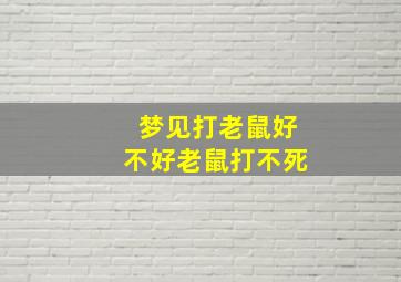 梦见打老鼠好不好老鼠打不死