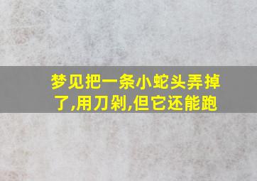 梦见把一条小蛇头弄掉了,用刀剁,但它还能跑