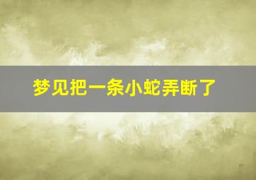 梦见把一条小蛇弄断了