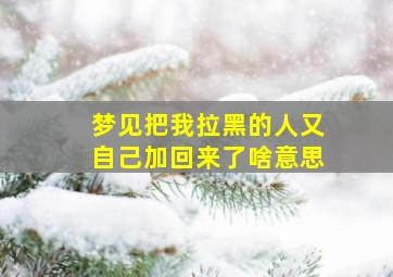 梦见把我拉黑的人又自己加回来了啥意思