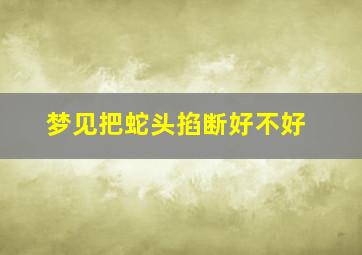 梦见把蛇头掐断好不好