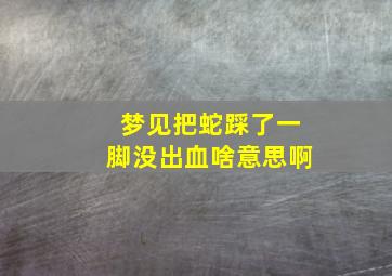 梦见把蛇踩了一脚没出血啥意思啊