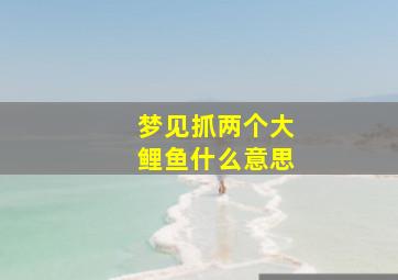 梦见抓两个大鲤鱼什么意思