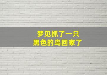 梦见抓了一只黑色的鸟回家了