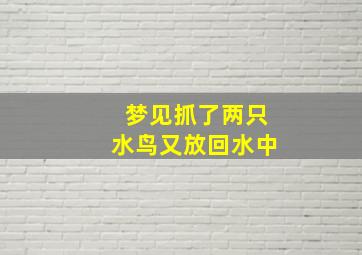 梦见抓了两只水鸟又放回水中