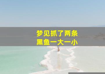 梦见抓了两条黑鱼一大一小