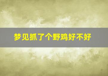 梦见抓了个野鸡好不好