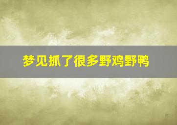 梦见抓了很多野鸡野鸭