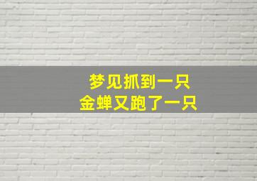 梦见抓到一只金蝉又跑了一只