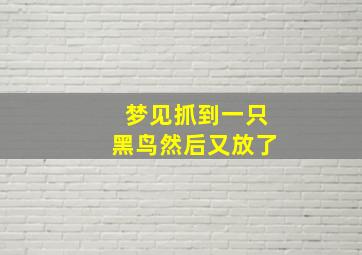 梦见抓到一只黑鸟然后又放了