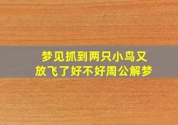 梦见抓到两只小鸟又放飞了好不好周公解梦