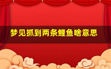 梦见抓到两条鲤鱼啥意思