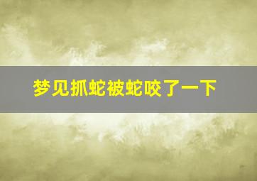 梦见抓蛇被蛇咬了一下