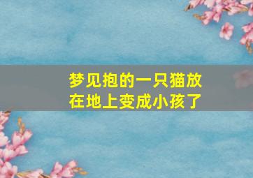 梦见抱的一只猫放在地上变成小孩了