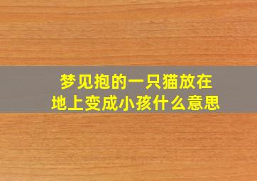 梦见抱的一只猫放在地上变成小孩什么意思