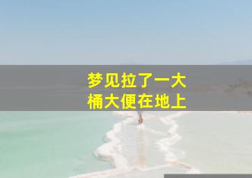 梦见拉了一大桶大便在地上