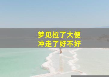 梦见拉了大便冲走了好不好