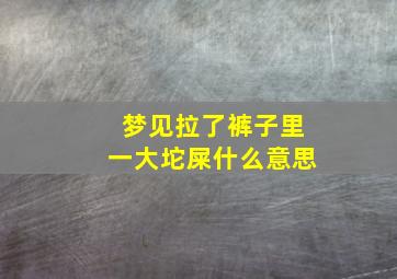 梦见拉了裤子里一大坨屎什么意思