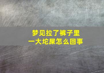 梦见拉了裤子里一大坨屎怎么回事